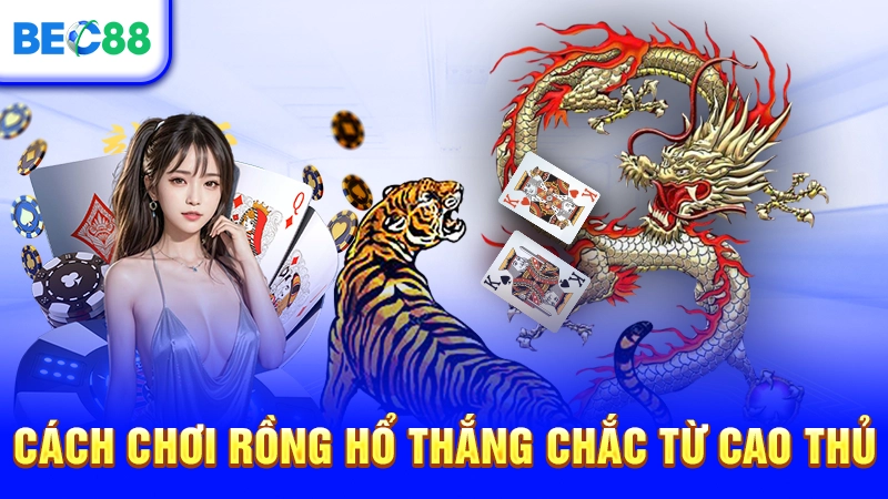 Cách chơi Rồng Hổ thắng chắc từ cao thủ