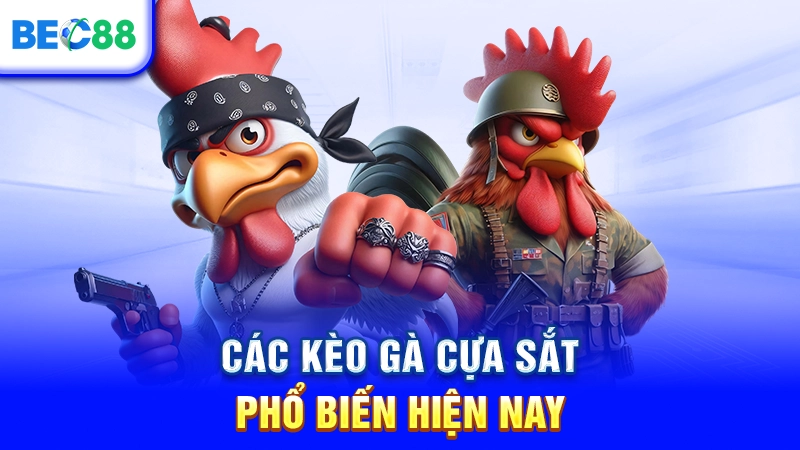 Các kèo gà cựa sắt phổ biến hiện nay