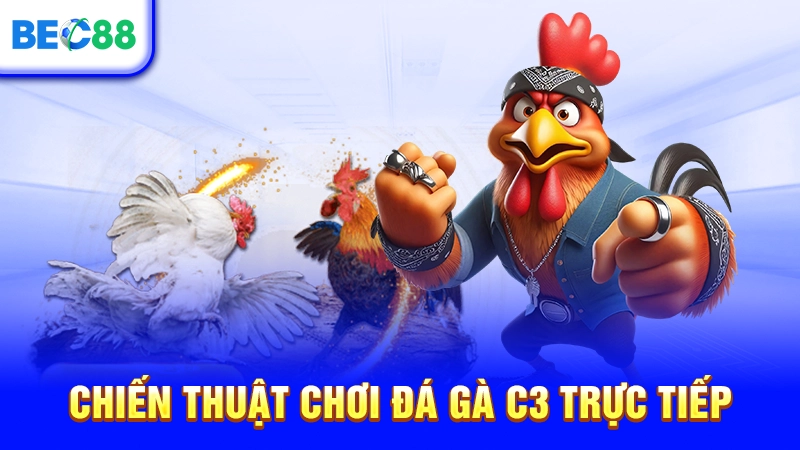 Chiến thuật chơi đá gà C3 trực tiếp