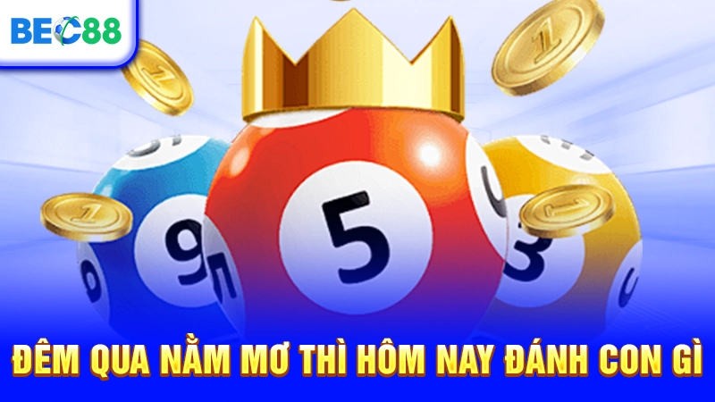 Đêm qua nằm mơ thì hôm nay đánh con gì