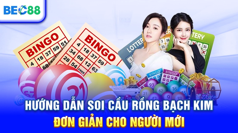 Hướng dẫn soi cầu Rồng Bạch Kim đơn giản cho người mới