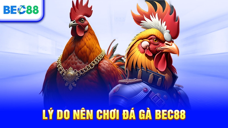 Lý do nên chơi đá gà BEC88