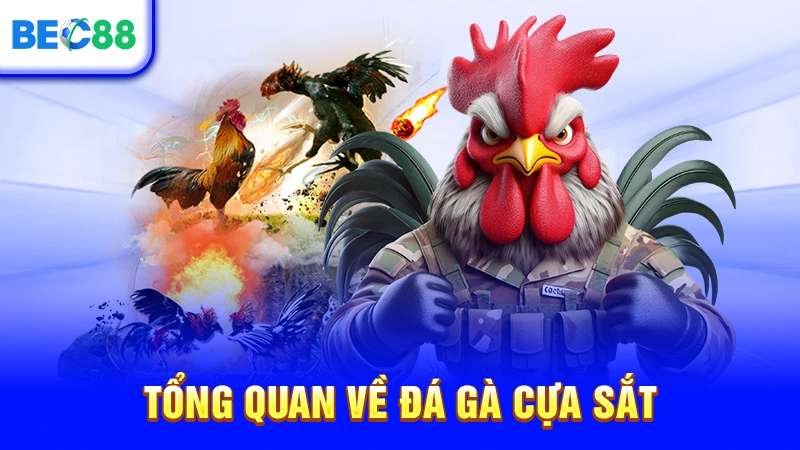 Tổng quan về đá gà cựa sắt