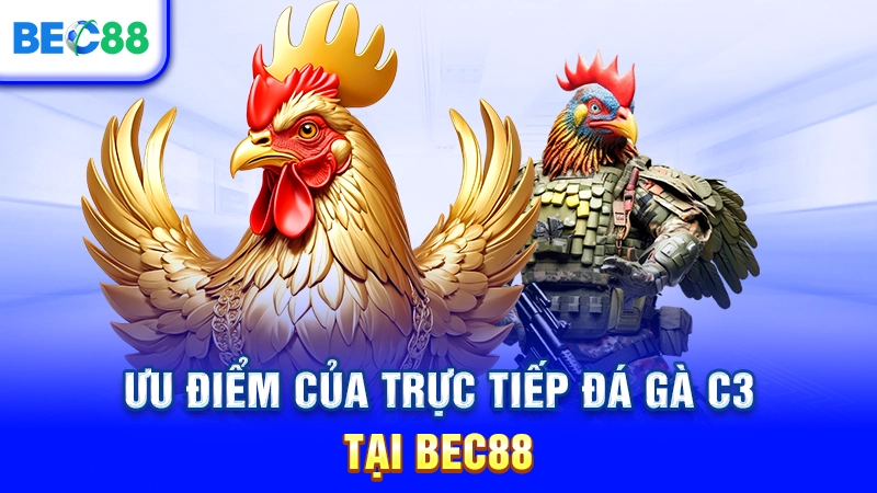 Ưu điểm của trực tiếp đá gà C3 tại BEC88