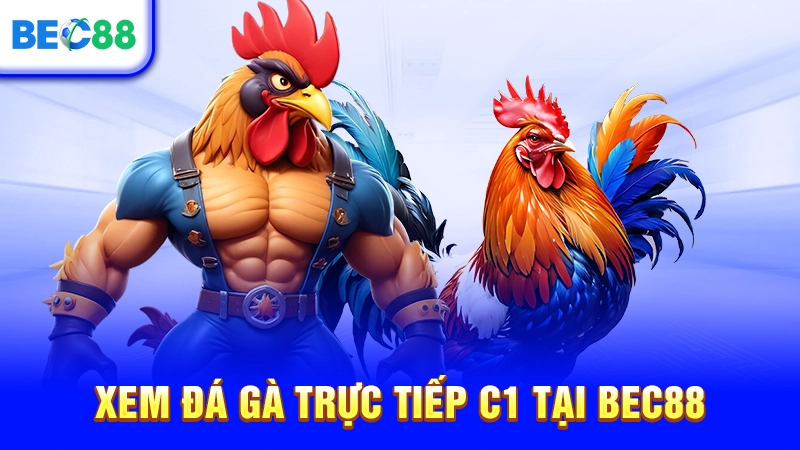 Xem đá gà trực tiếp C1 tại BEC88